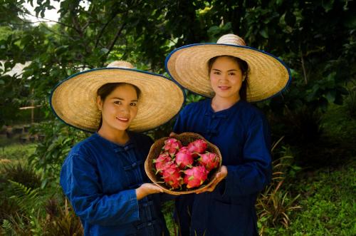 two women wearing hats and holding a basket of flowers at Pa Sak Tong in Chiang Rai