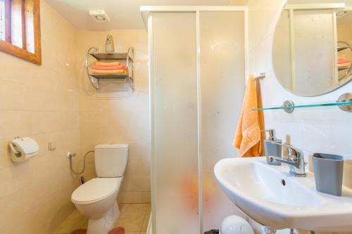 a bathroom with a shower and a toilet and a sink at DOMKI POD JARZĘBINĄ in Puck