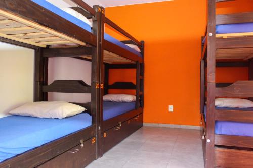 Krevet ili kreveti na sprat u jedinici u okviru objekta Hostel de los Colores
