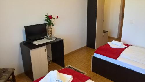 a room with a bed and a desk with a television at Villa Rustica in Gornea