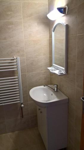 a bathroom with a sink and a mirror at Villa Rustica in Gornea