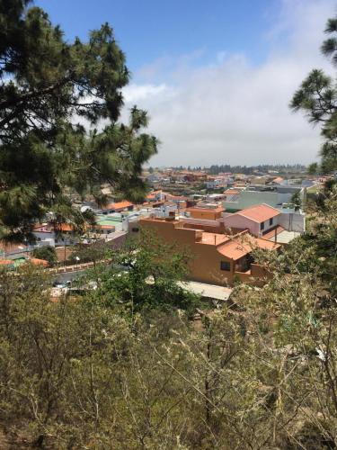 a view of a town from a hill with trees at El Mirador in Vilaflor