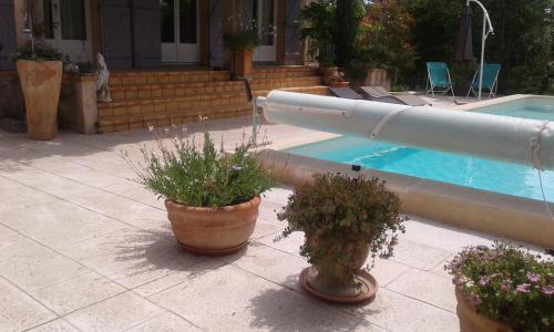 a pool with potted plants next to a swimming pool at Michèle et Didier Lin in Saint-Laurent-dʼAigouze