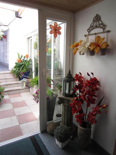 Κήπος έξω από το Ferienhaus Olympia