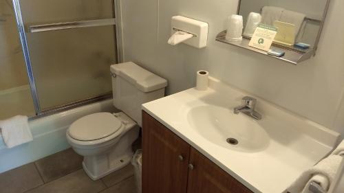 La salle de bains est pourvue de toilettes et d'un lavabo. dans l'établissement Baw Beese Inn, à Hillsdale
