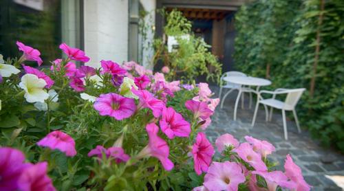 a garden with pink flowers and a table and chairs at Gastenkamers UitGaanSlapen in Nieuwpoort