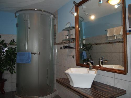 y baño con ducha, lavabo y espejo. en Hotel Restaurant LR6, en Bad Sooden-Allendorf