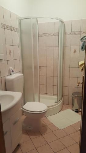 a bathroom with a shower and a toilet and a sink at Apartments Barbara in Podhum