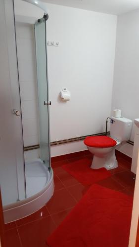 Kúpeľňa v ubytovaní Casa Borcean
