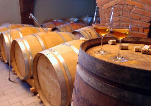 a row of wine barrels with glasses of wine at Tenuta Valdomini in Attimis