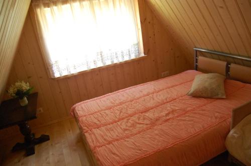 a bedroom with a bed and a window in a room at Kučuru dzirnavas in Lautere