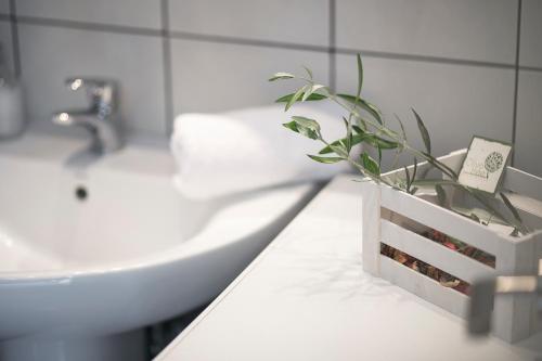 a bathroom with a sink and a potted plant on a counter at Olive Tree Apartments in Fourka