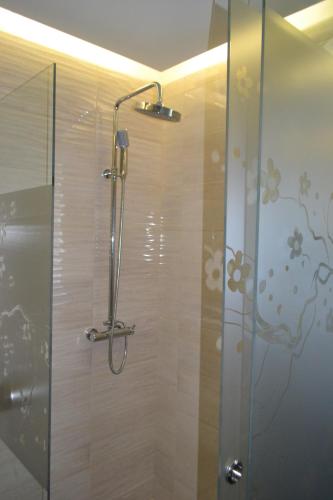 a shower with a glass door in a bathroom at Garni Hotel Chicha - Winery ŠKRBIĆ in Belgrade