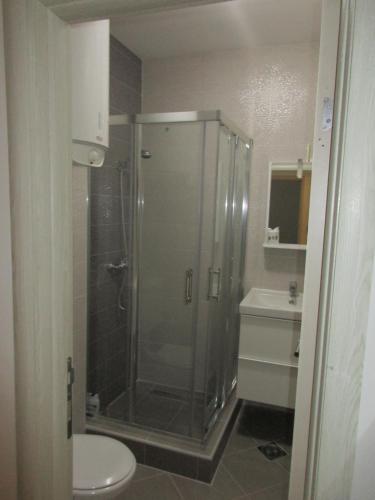 a bathroom with a shower with a toilet and a sink at Summer apartment in Bar