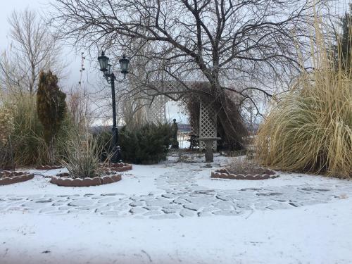 Shady Lady Bed and Breakfast – Photos 3