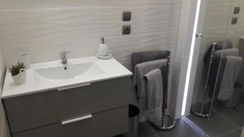 a bathroom with a white sink and a shower at Happy Plaine in Sainte-Croix-en-Plaine