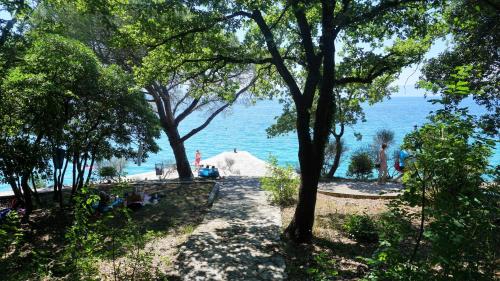 a group of trees and a white tent next to the water at Apartmani Gaj in Malinska
