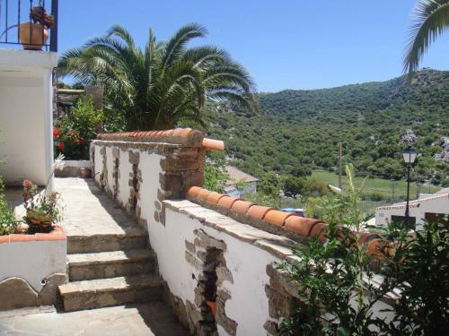 a stone wall with stairs and palm trees and a mountain at Apartamentos Buganvilla in Villaluenga del Rosario