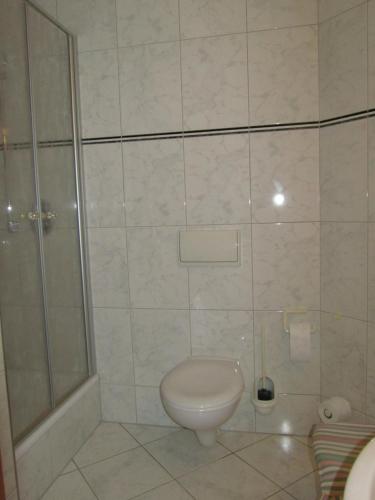 a bathroom with a toilet and a shower at Land-gut-Hotel Lohmann in Drensteinfurt