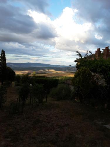 a view of a field with trees and a cloudy sky at Poggio Bicchieri in Campiglia dʼOrcia