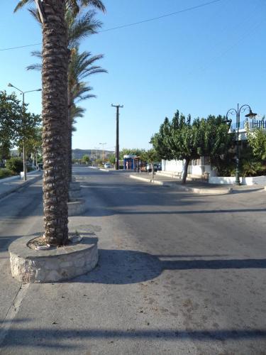 a palm tree in the middle of a street at Rea Hotel in Faliraki
