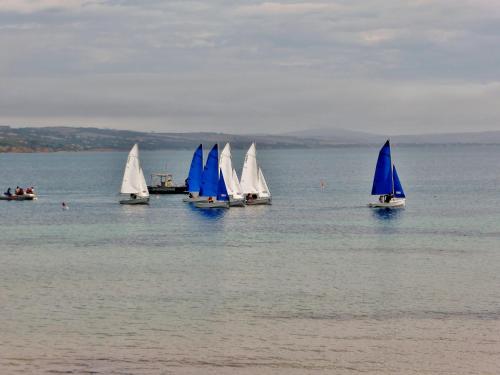 a group of small sailboats in the water at Hilton Motel in Port Lincoln