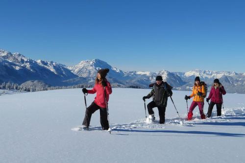 a group of people on skis in the snow at Apartments Egger Barbara in Gosau