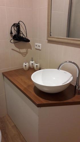 Vannituba majutusasutuses Mõisa Ait Apartment