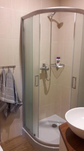 y baño con ducha y puerta de cristal. en Mõisa Ait Apartment, en Võru