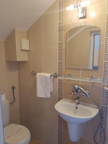 a bathroom with a sink and a toilet and a mirror at Boruna Guest House in Sozopol
