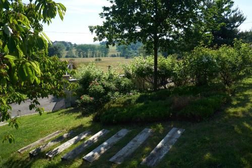 a garden with a wooden bench in the grass at la Palisse in Peaugres