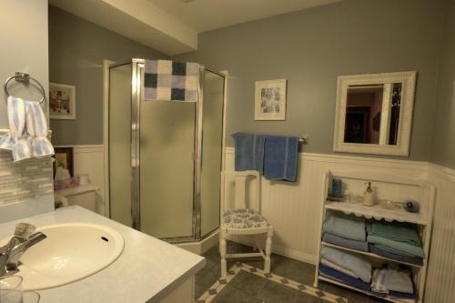 y baño con ducha y lavamanos. en Hummingbird Bed and Breakfast en Clearwater