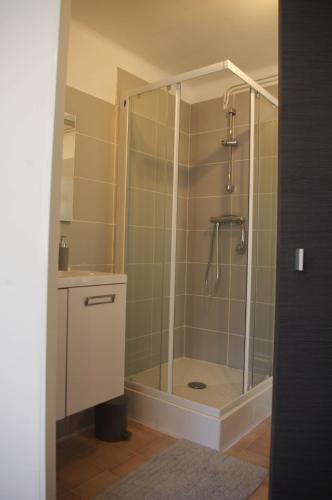 une douche avec une porte vitrée dans une salle de bain dans l'établissement Appartement Prat Lann, à Vannes