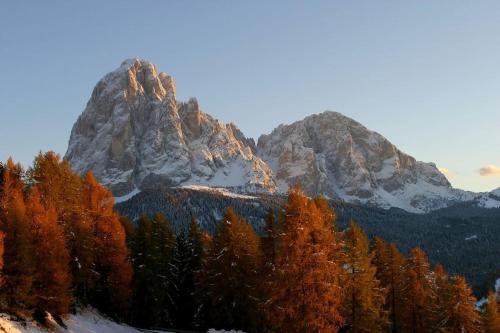 a mountain with trees in front of it at Garni Waltoy in Selva di Val Gardena