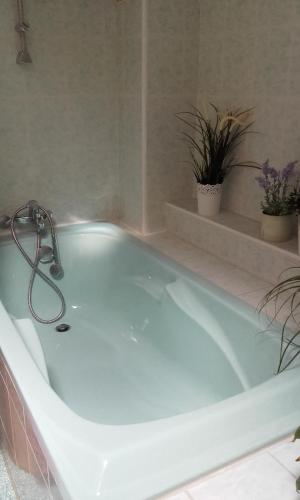 La salle de bains est pourvue d'une baignoire avec deux plantes en pot. dans l'établissement Les Lutins, à Sainte-Ruffine