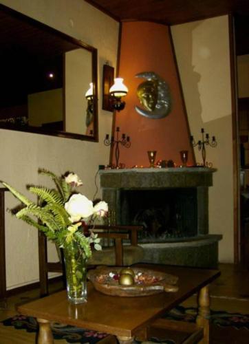 a living room with a fireplace and a table with flowers at Hotel Stadion in Delphi