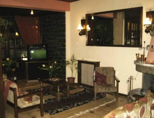 a living room with a couch and a fireplace at Hotel Stadion in Delfoi
