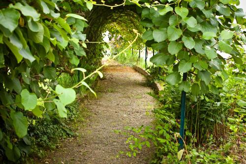 a path through an ivy covered tunnel of trees at Clos Mirabel Manor - Holiday rental in Jurançon