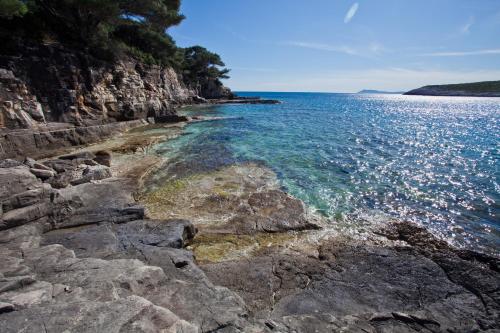 a view of the ocean from a rocky shore at Villa Lucia with private pool and a whirlpool in Vis