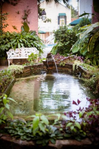 Κήπος έξω από το Lamothe House Hotel a French Quarter Guest Houses Property