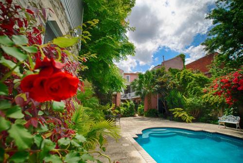 Πισίνα στο ή κοντά στο Lamothe House Hotel a French Quarter Guest Houses Property