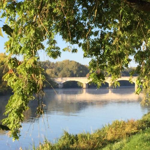 a bridge over a river with a tree at Au Coeur de la Cour in Saint-Georges-sur-Cher