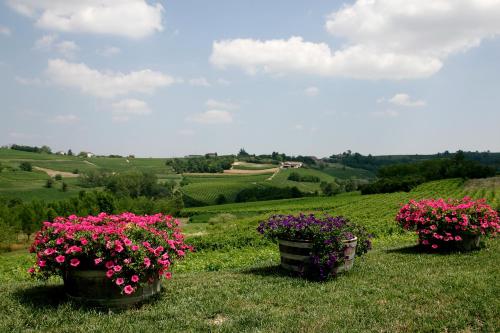 three potted plants on a grassy hill with flowers at Agriturismo Bricco San Giovanni in Isola d'Asti