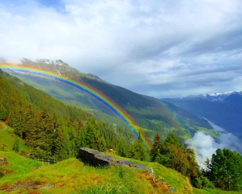 a rainbow on a hill with a forest at Rifugio Alpe San Romerio in Brusio