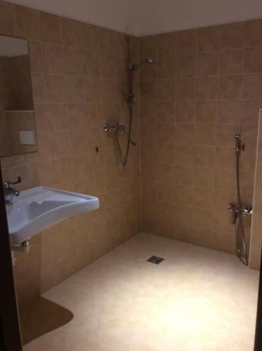 a bathroom with a sink and a shower at B&B Notte sul Lago in Gozzano