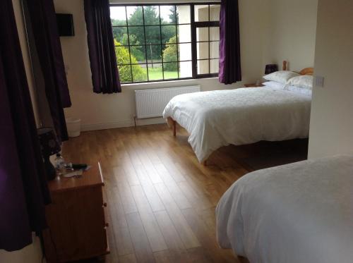 a bedroom with two beds and a window at Auntie B's in Ardara