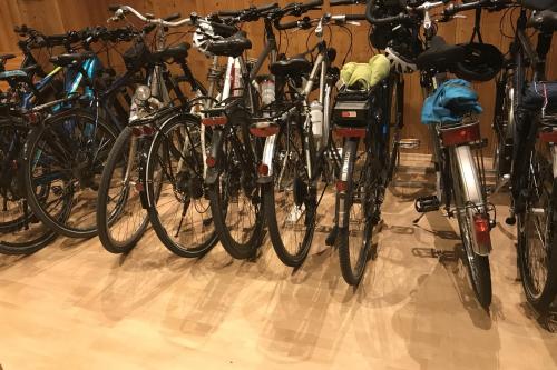 רכיבה על אופניים ב-Hotel Gasthof Inselgraben garni או בסביבה