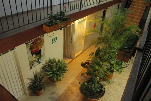 an overhead view of a hallway with potted plants at Hotel Pacifico Cerca al Aeropuerto in Palmira