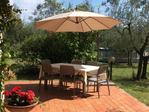 a table and chairs under an umbrella on a patio at Da Piero e Paola in Arezzo