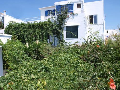 a white house with a lot of plants in front of it at Anastasia Studios in Tinos Town